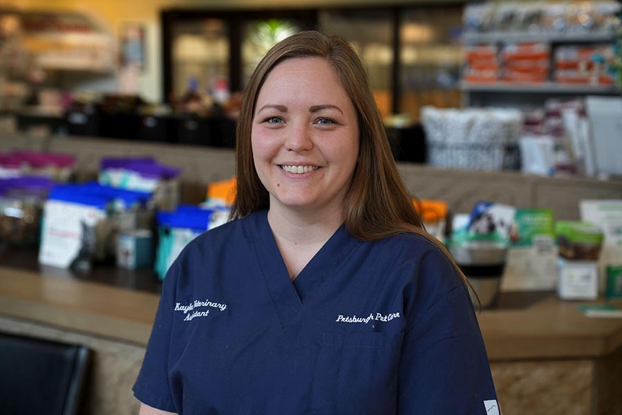 Veterinarian in Lafayette, IN Petsburgh Pet Care